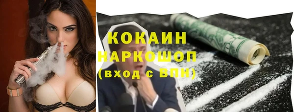 СК Сосновый Бор