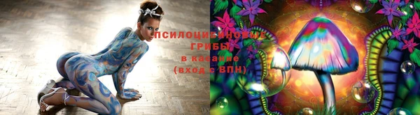 СК Сосновый Бор