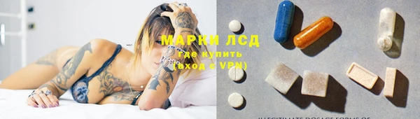 СК Сосновый Бор