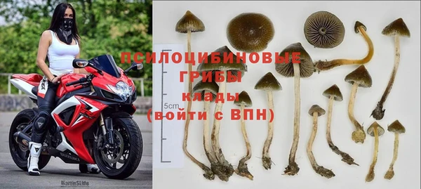 прущая мука Сосновоборск