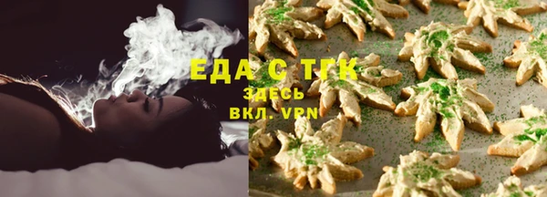 СК Сосновый Бор