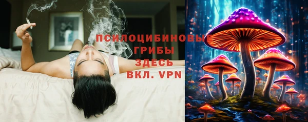 СК Сосновый Бор