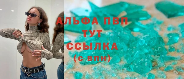 СК Сосновый Бор